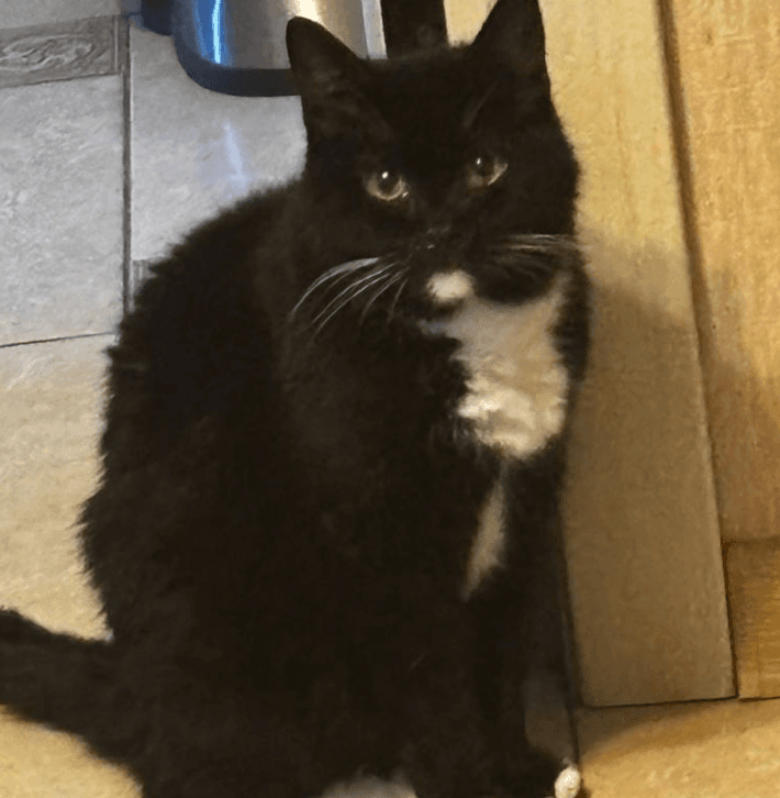 Я знаю, что я ничего не знаю (или?)